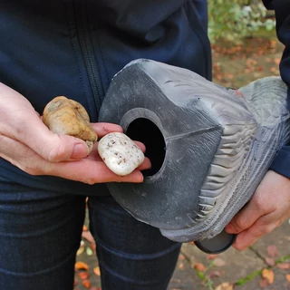 Madárriasztó sólyom