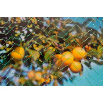 Madárháló 10x2 m /5db/karton