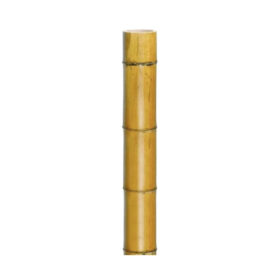 Bambusz oszlop vastag 300cm, átm.50-60 mm /5db/karton