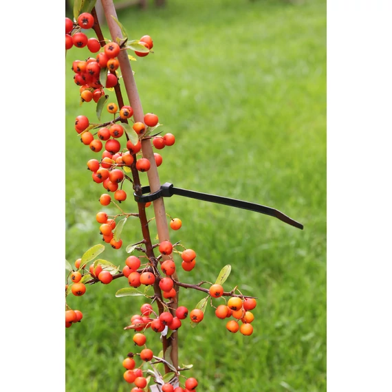Gyorskötöző  Rögzítő műanyag 15cm, 25db-os szett /10szett/karton