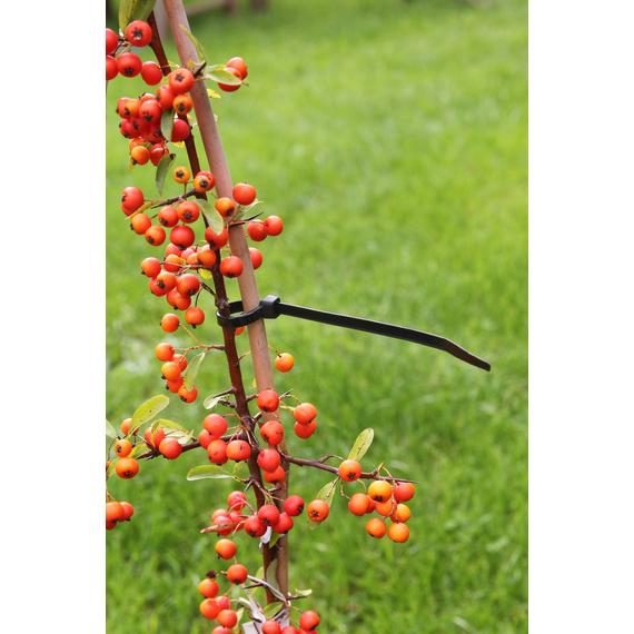 Gyorskötöző Rögzítő műanyag 30cm, 25db-os szett /10szett/karton