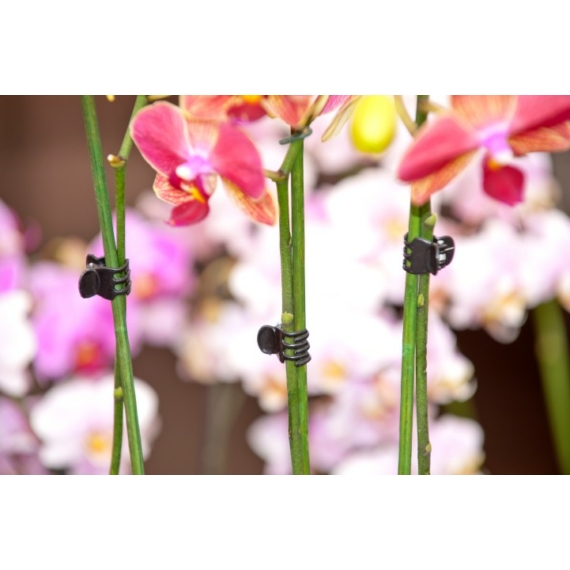 Orchidea rögzítő fekete 10db-os szett /10szett/karton