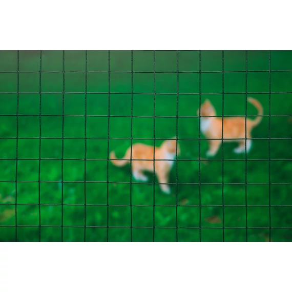 Drótkerítés, 25mmx25mm, műanyag bevonattal, 50cmx2,50m /6db/karton
