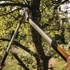 Kép 6/6 - FISKARS PowerGearX fém fogaskerekes ágvágó (L)