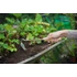 Kép 2/3 - Kis kapa (3,5 cm) nyéllel (H12,5 cm) rozsdamentes acél, FSC fa nyéllel 30x11,5cm