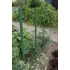 Kép 2/3 - Paradicsom futtató, üreges, vízzel feltölthető , 150cm PVC, zöld