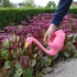 Kép 2/2 - Flamingós öntözőkanna, 1,4 L