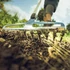 Kép 2/2 - FISKARS Xact rózsagereblye S 230 mm
