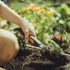 Kép 2/2 - FISKARS Xact ültetőkanál