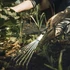 Kép 2/2 - FISKARS Xact kézi gereblye