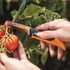 Kép 3/3 - FISKARS X-serie összecsukható betakarító kés K80