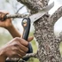 Kép 4/5 - FISKARS Plus összecsukható fűrész SW68