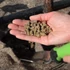 Kép 2/2 - Fitowool gyapjú pellet balkonládába és cserepes növényekhez 250g (36db/krt)