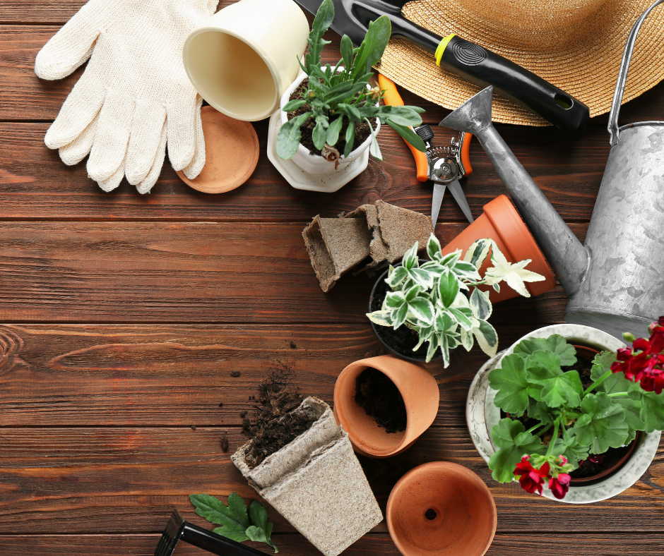 Kertészeti és agrár termékek