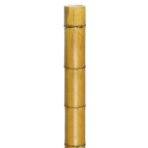 Bambusz oszlop vastag 300cm, átm.50-60 mm /5db/karton