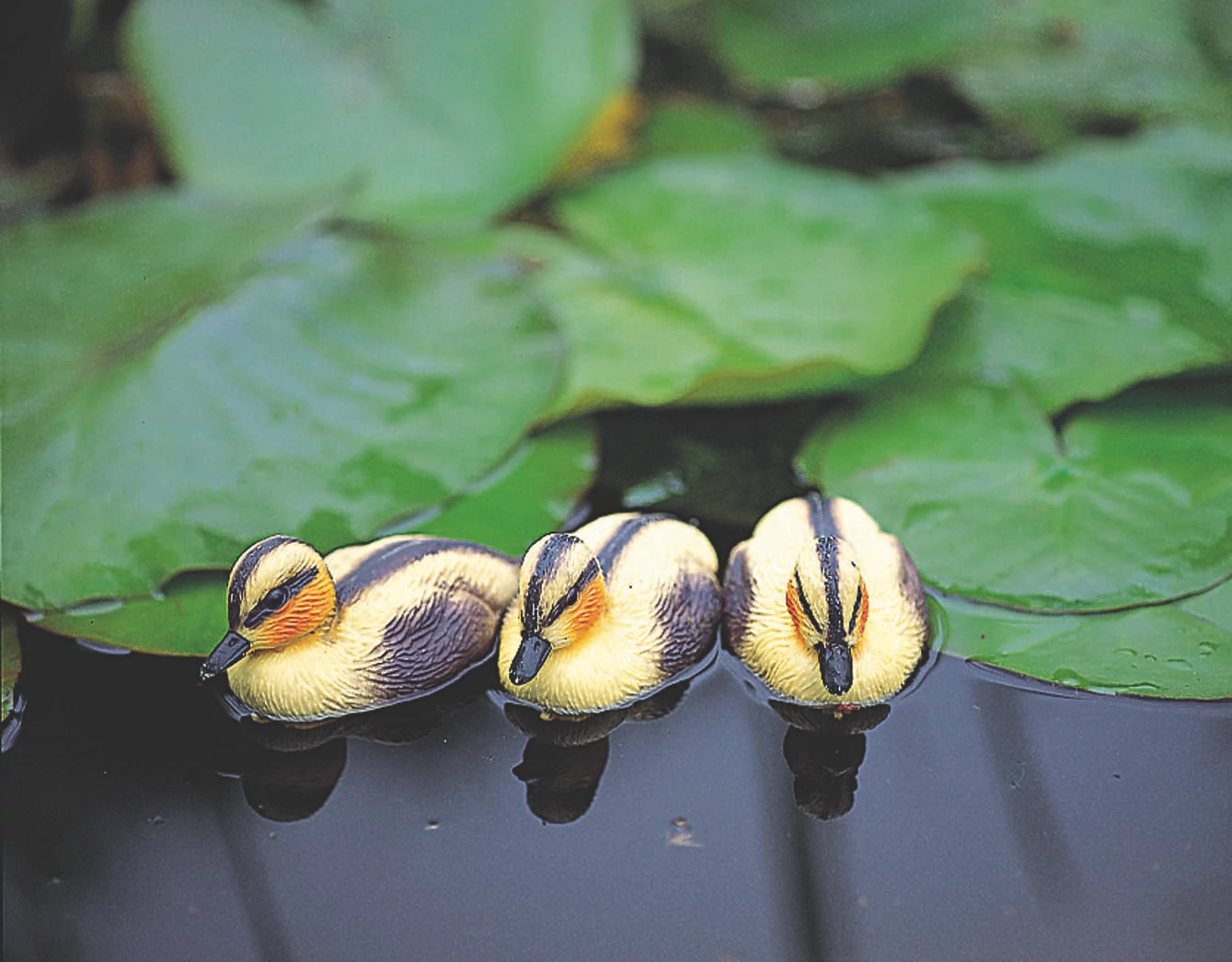 Ubbink Állatfigura sárga kiskacsa, 12 cm, 36db/kart
