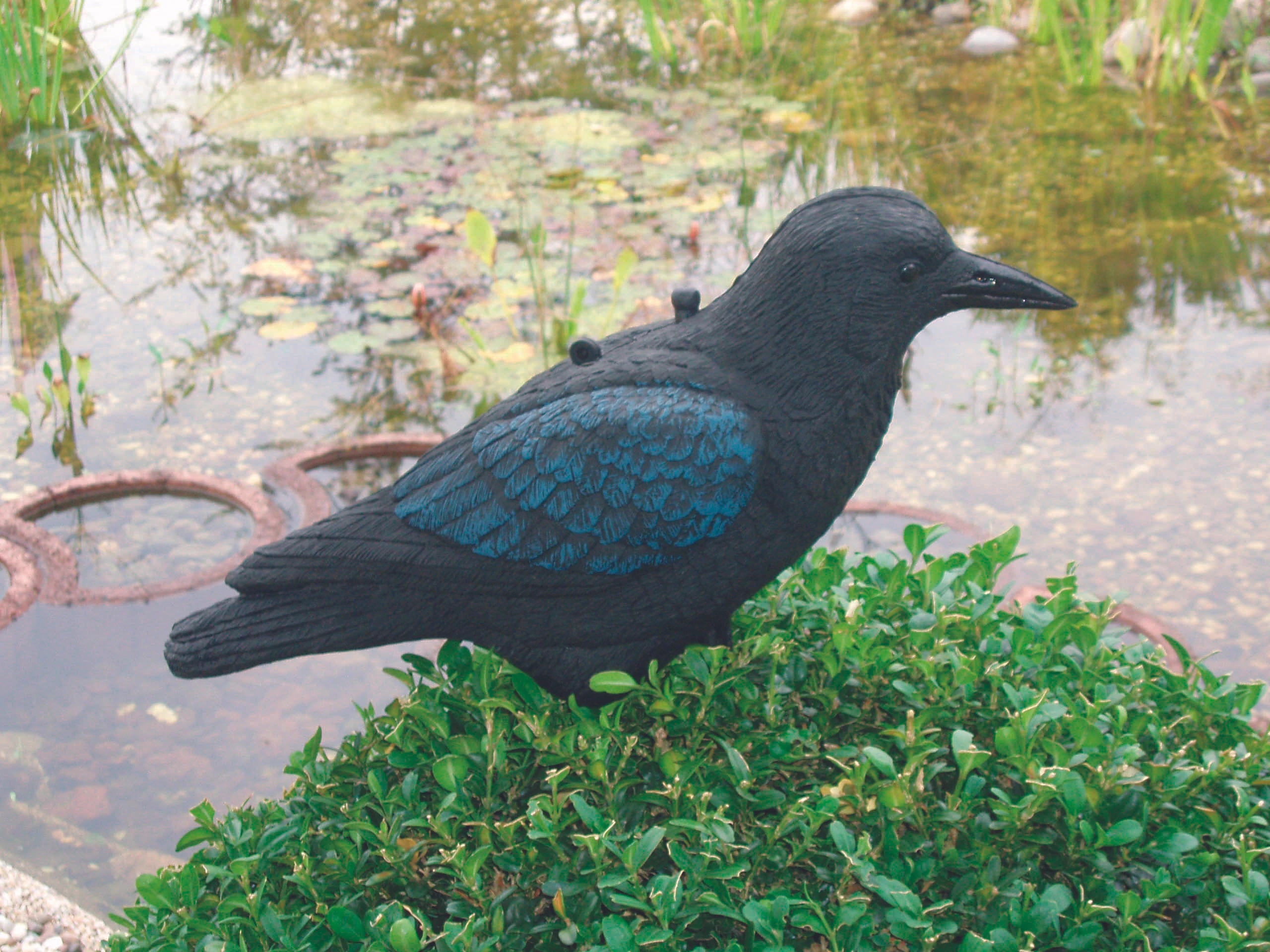 Ubbink Állatfigura varjú, 27  cm