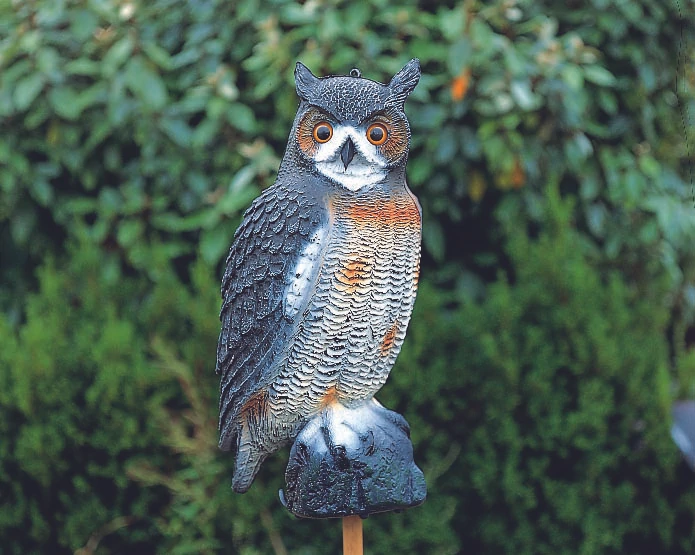 Ubbink Állatfigura, nagy bagoly, 59 cm