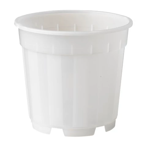 Növénytartály átm. 12cm /18db/karton
