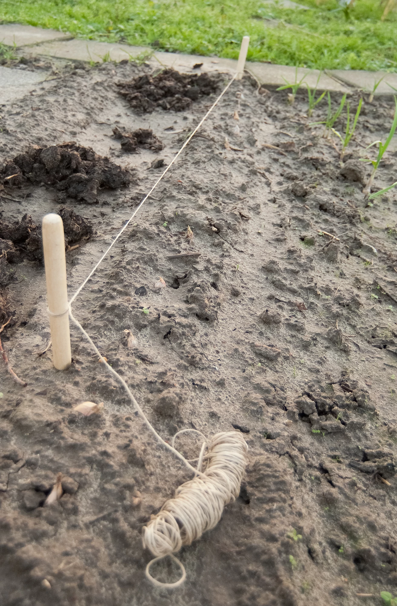 Ültető szett, fából, magasság:30cm átm.18mm-20m /5db/karton