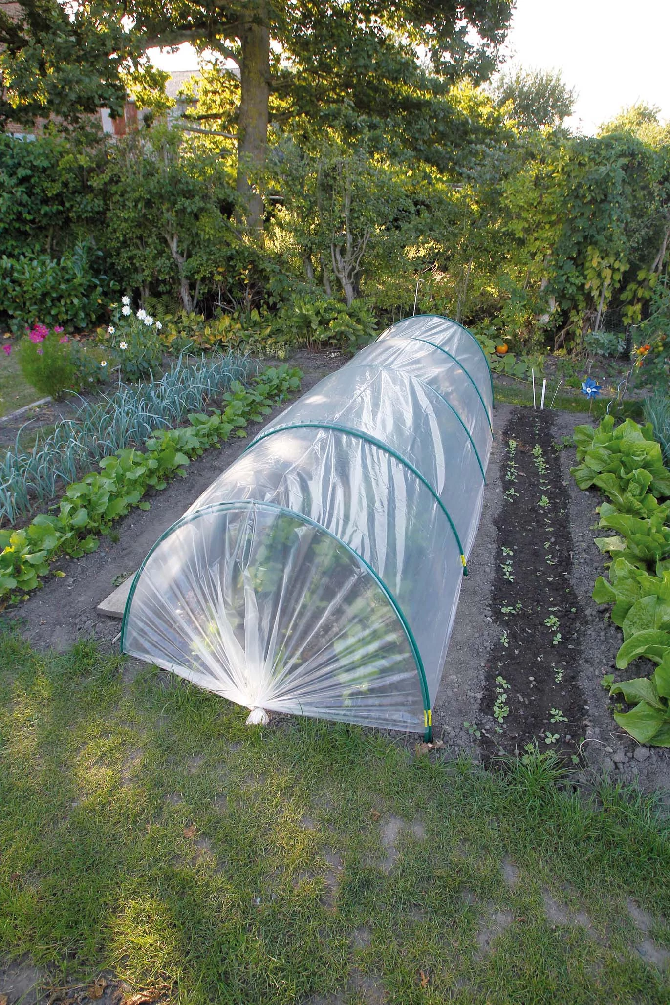 Alagút fóliakészlet 7 db boltívvel, 2db rögzítővel, kötözőkkel, 50 µ., 2x5m