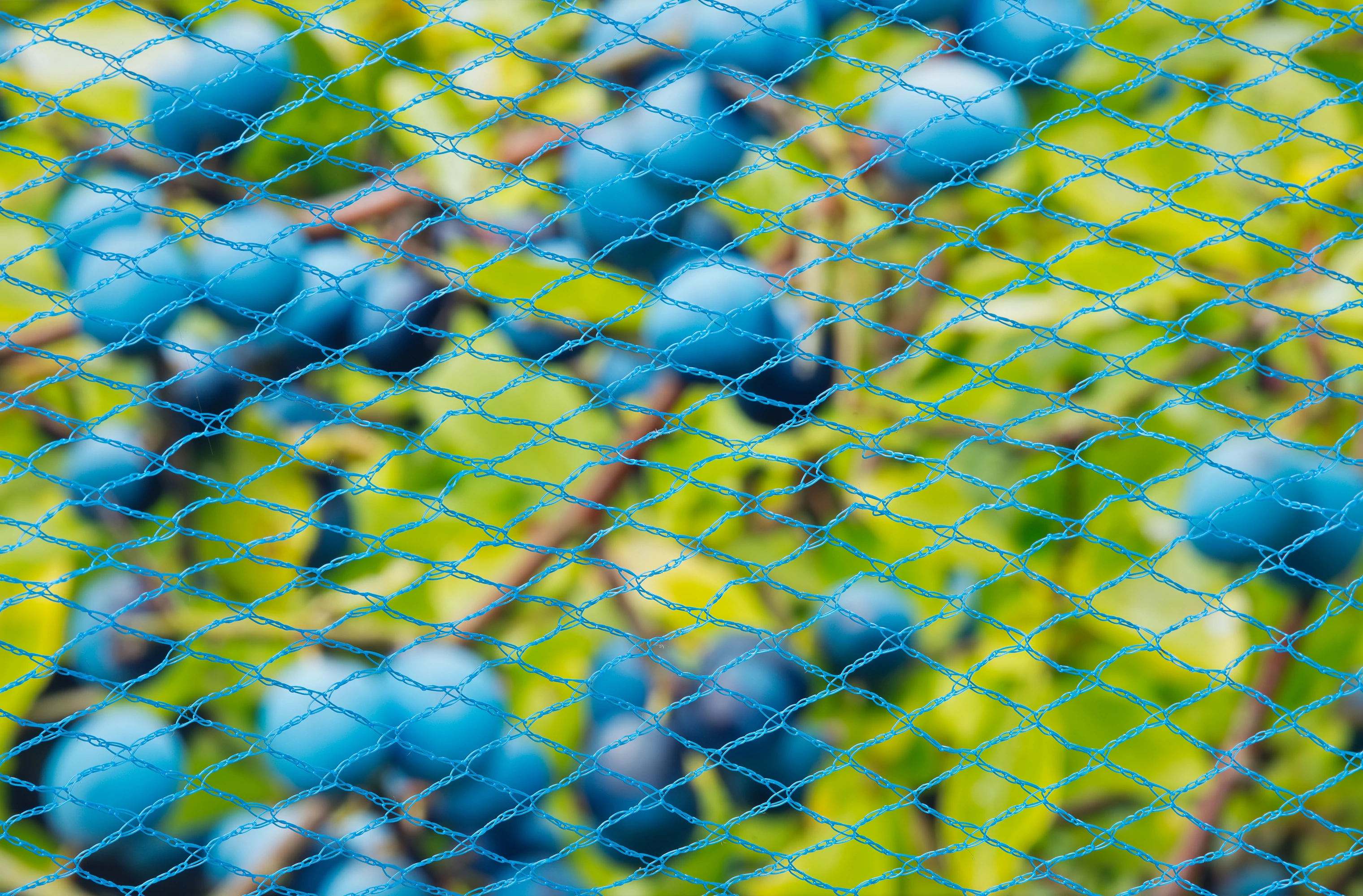 Madárháló kék, 8x8mm, 5 x 4 m 22g/m2 /5db/karton