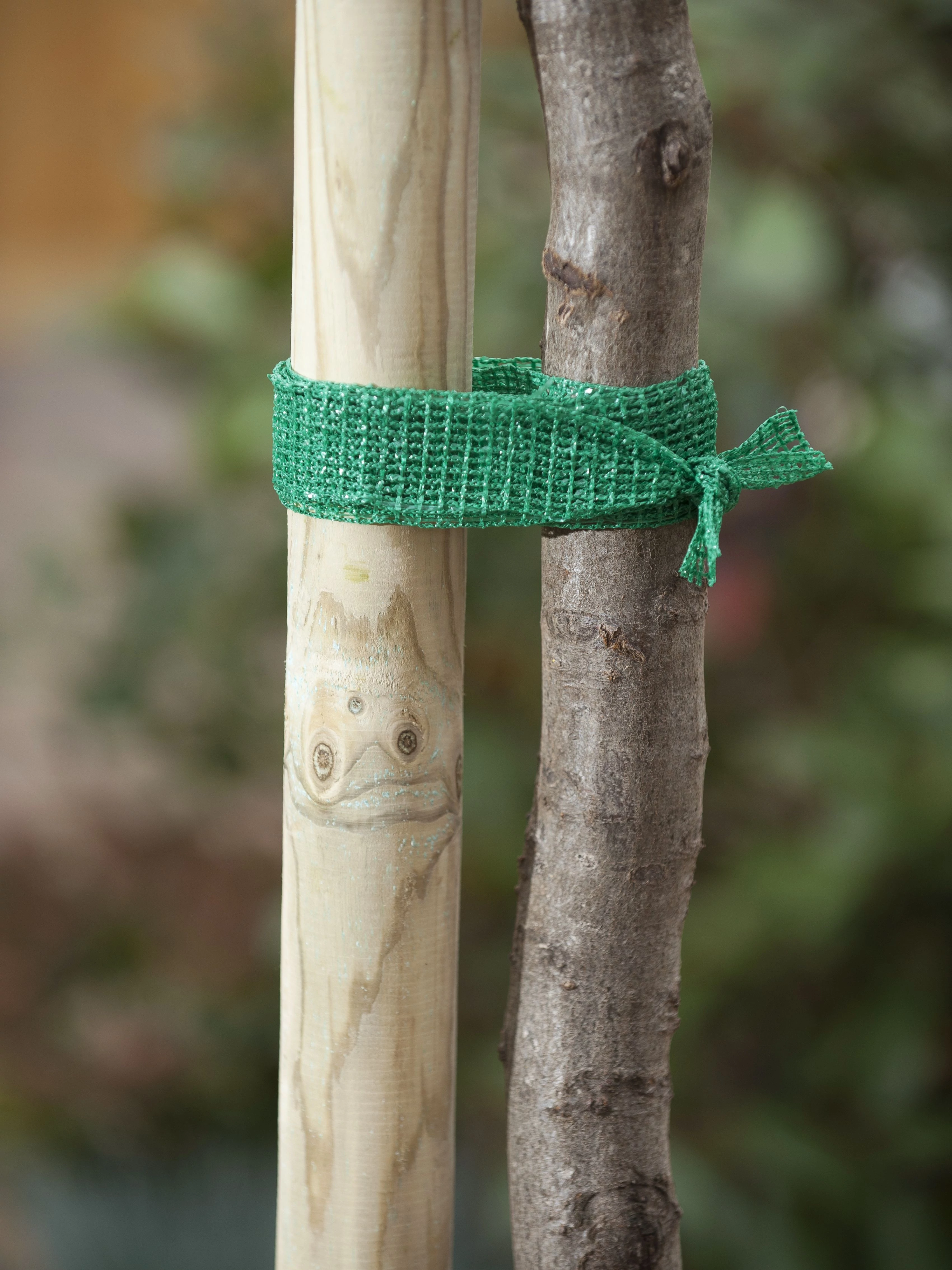 Fatörzs rögzítő, zöld, 4cm x 2m /5db/karton