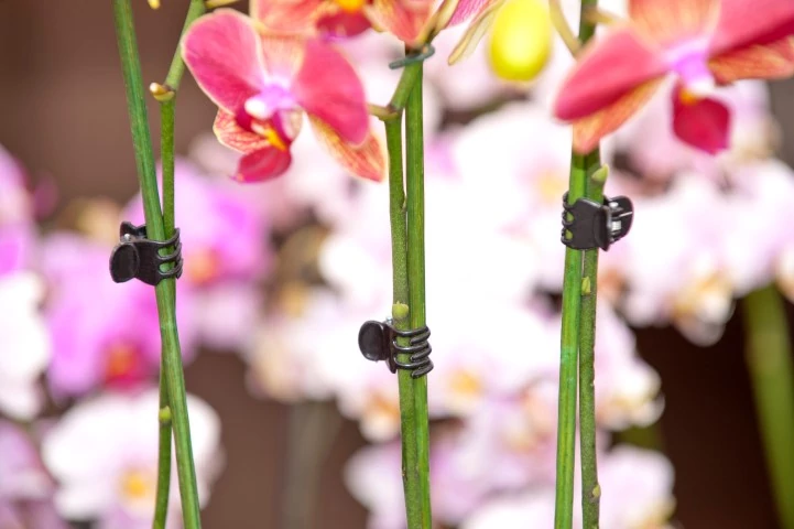 Orchidea rögzítő fekete 10db-os szett /10szett/karton