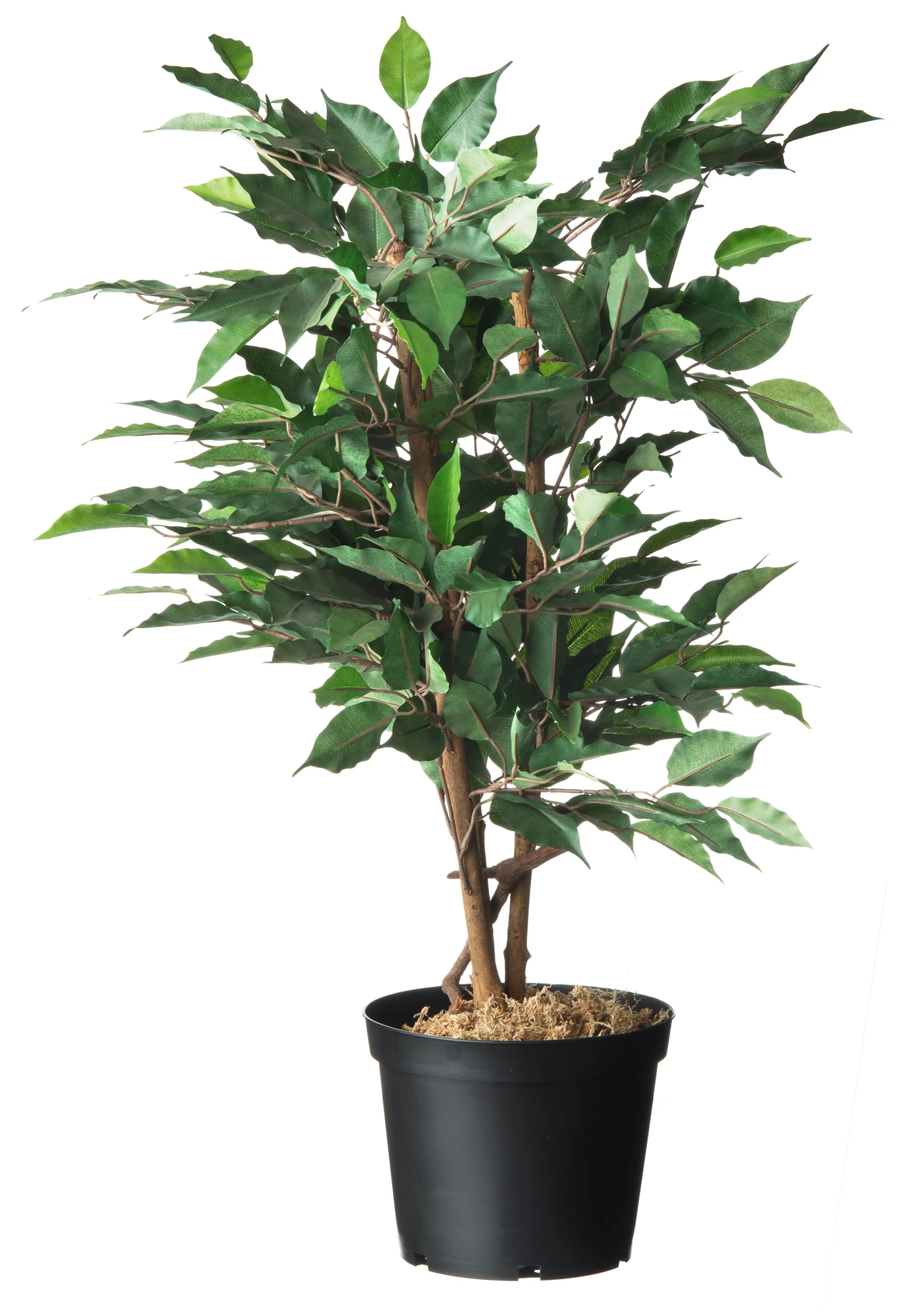 Konténer fekete 4l, 17x 21cm, 3db/csom, 15csom/karton