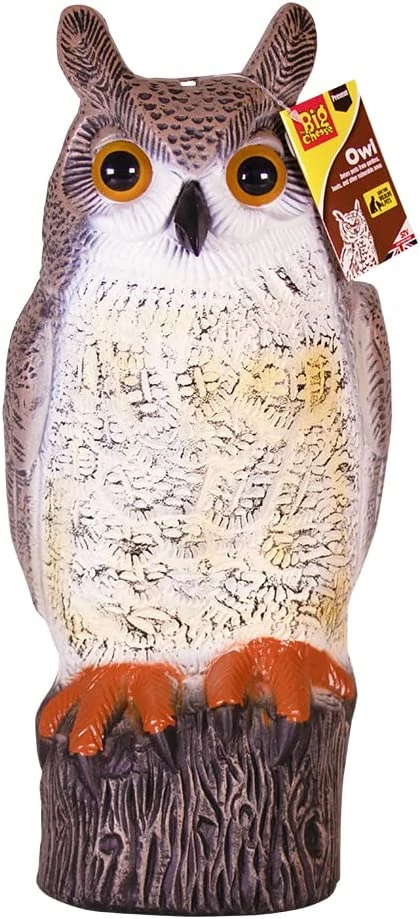 Madárriasztó bagoly, fél